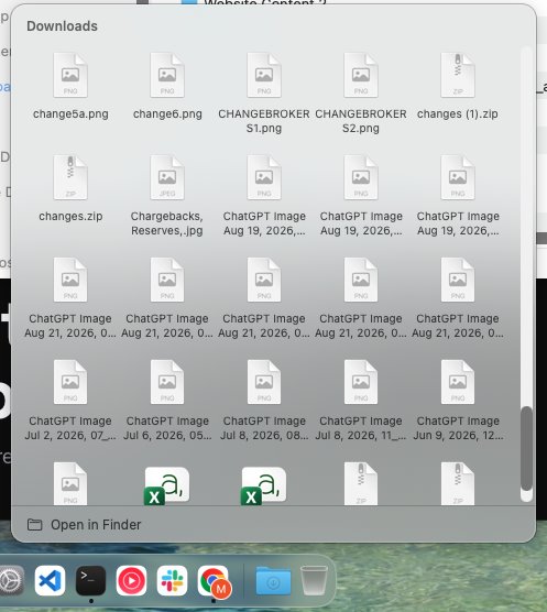 The Downloads folder open above the dock as a grid of file icons with their names
